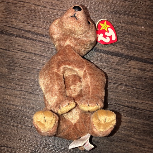Ty Beanie Baby Pecan The Bear Collectible Plush Retired Vintage Original 1999 - Picture 2 of 5